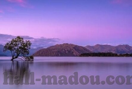 大象传媒是真的吗-真相的探寻，大象传媒的实与虚