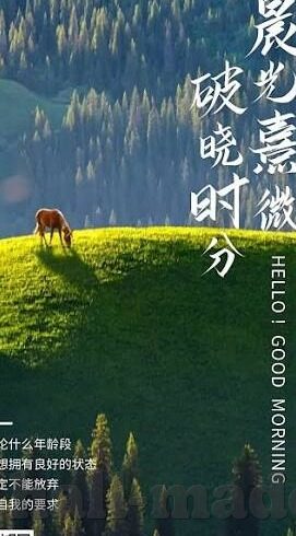 麻豆视频app破解-麻豆视频APP，探索开放背后的双重影响
