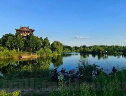 麻豆视频app下载-探索数字娱乐新尺度，麻豆视频 APP及下载指南