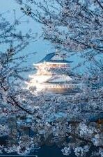 蜜桃传媒果冻传媒-蜜桃传媒与果冻传媒，数字时代下的内容创新与文化交融