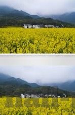 视频一区视频二区岛国4k-探索4K高清视界，一区二区岛国风情