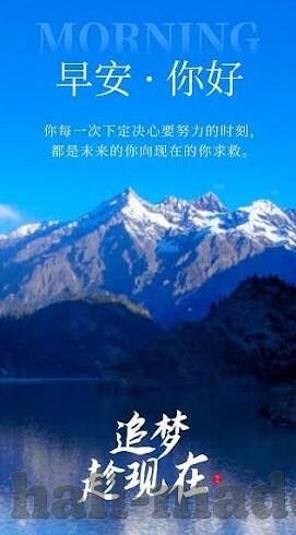 糖心app最新版本怎么下-解开糖心app最新版本的下载迷雾