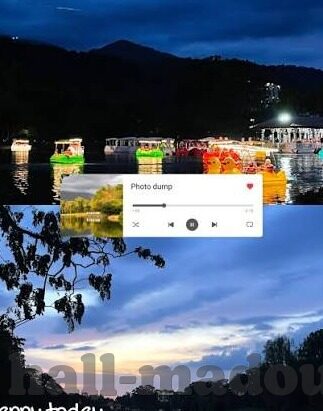 糖心直播app二维码-揭秘糖心直播，重塑生活娱乐的新窗口